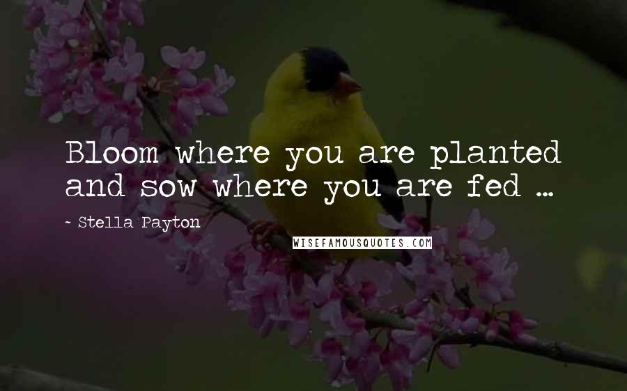 Stella Payton Quotes: Bloom where you are planted and sow where you are fed ...