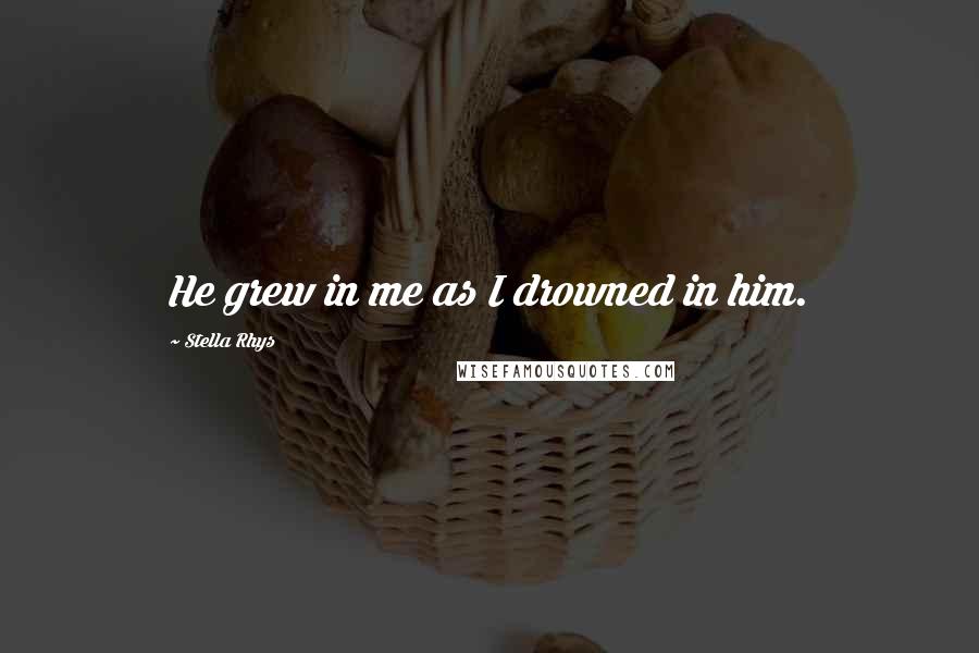 Stella Rhys Quotes: He grew in me as I drowned in him.