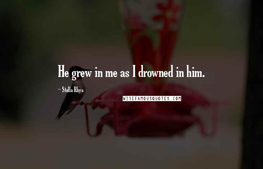 Stella Rhys Quotes: He grew in me as I drowned in him.