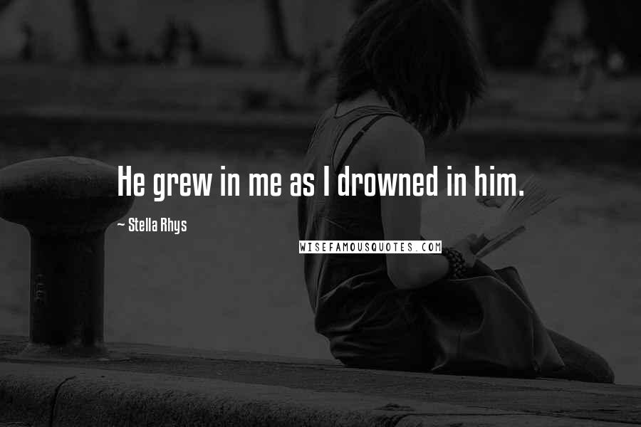 Stella Rhys Quotes: He grew in me as I drowned in him.