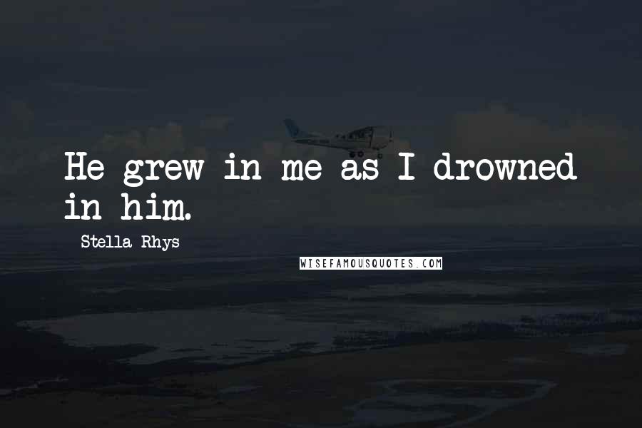 Stella Rhys Quotes: He grew in me as I drowned in him.