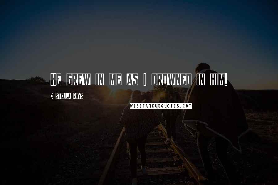 Stella Rhys Quotes: He grew in me as I drowned in him.