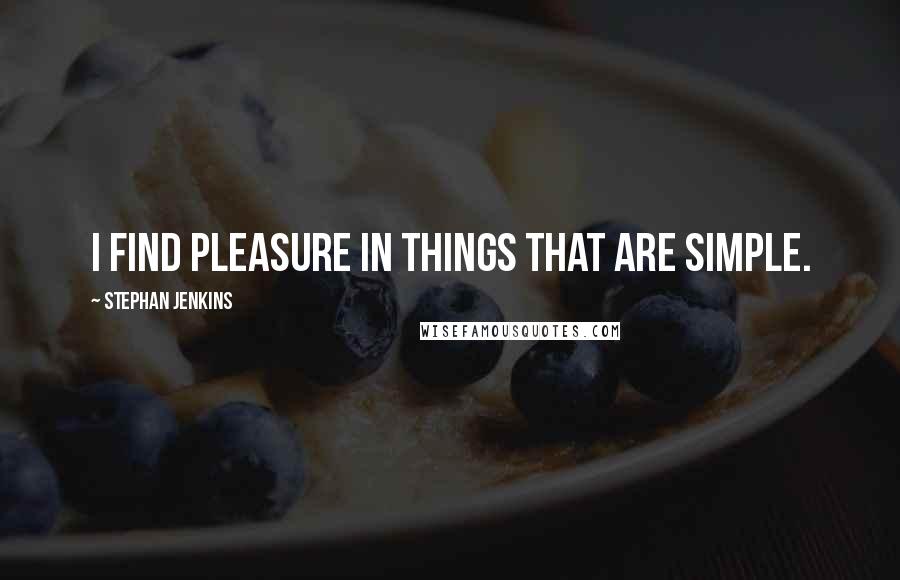 Stephan Jenkins Quotes: I find pleasure in things that are simple.