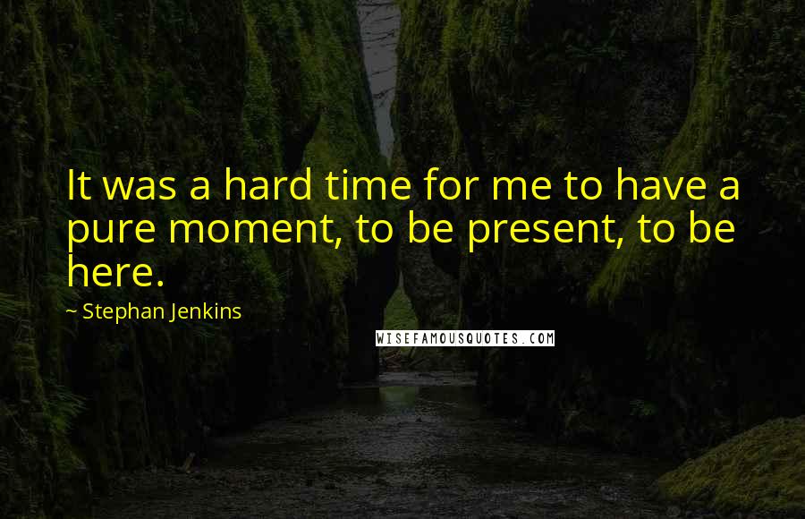 Stephan Jenkins Quotes: It was a hard time for me to have a pure moment, to be present, to be here.