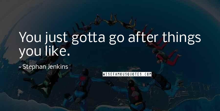 Stephan Jenkins Quotes: You just gotta go after things you like.