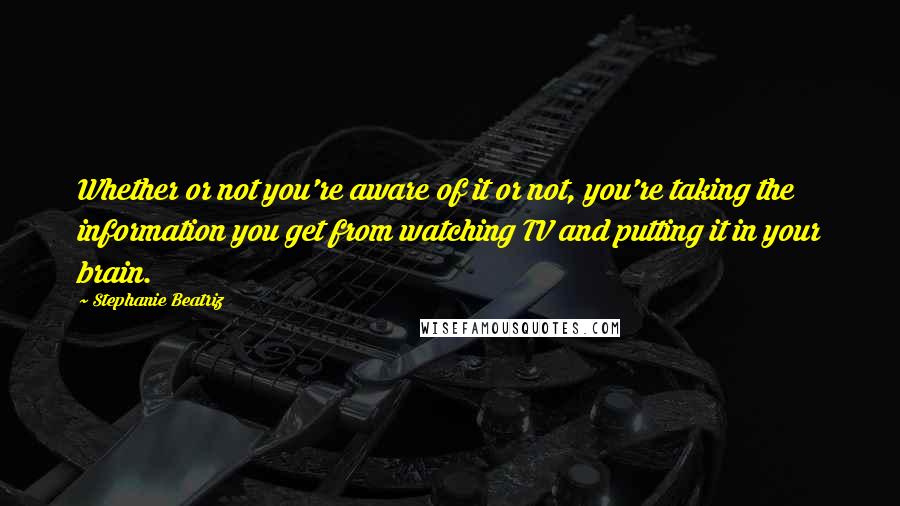 Stephanie Beatriz Quotes: Whether or not you're aware of it or not, you're taking the information you get from watching TV and putting it in your brain.