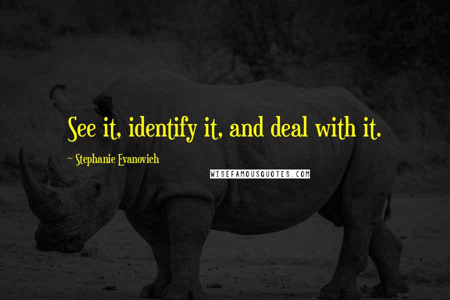 Stephanie Evanovich Quotes: See it, identify it, and deal with it.