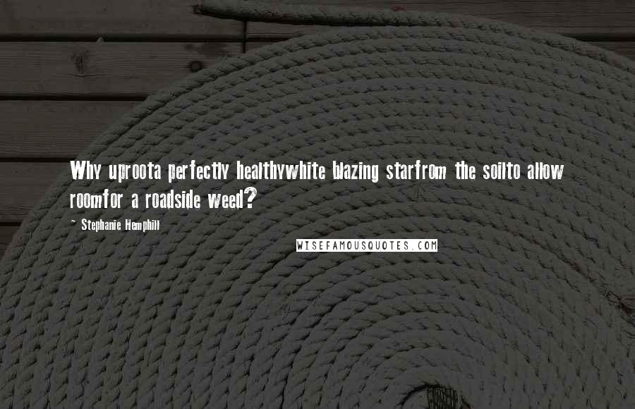 Stephanie Hemphill Quotes: Why uproota perfectly healthywhite blazing starfrom the soilto allow roomfor a roadside weed?