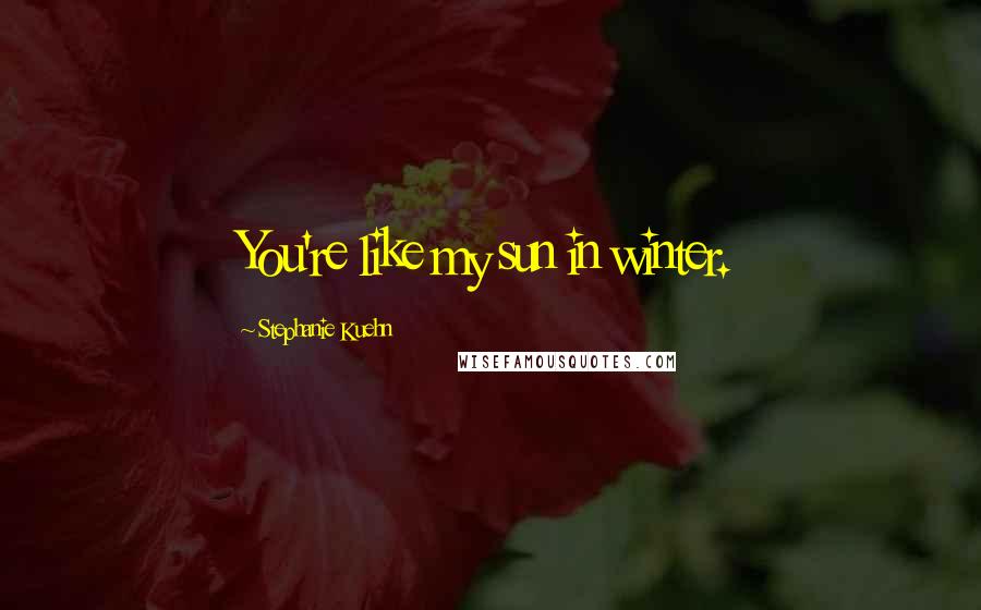 Stephanie Kuehn Quotes: You're like my sun in winter.