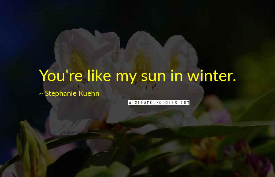 Stephanie Kuehn Quotes: You're like my sun in winter.