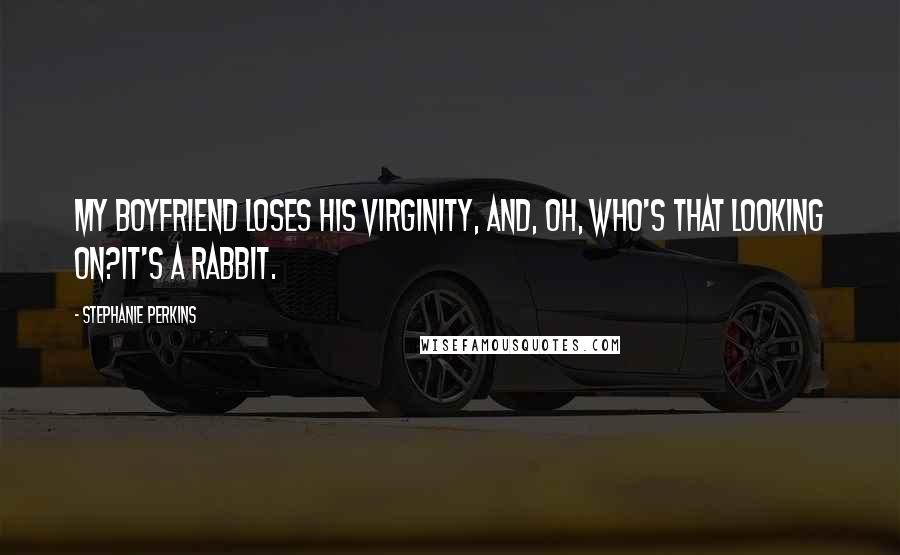 Stephanie Perkins Quotes: My boyfriend loses his virginity, and, oh, who's that looking on?It's a rabbit.