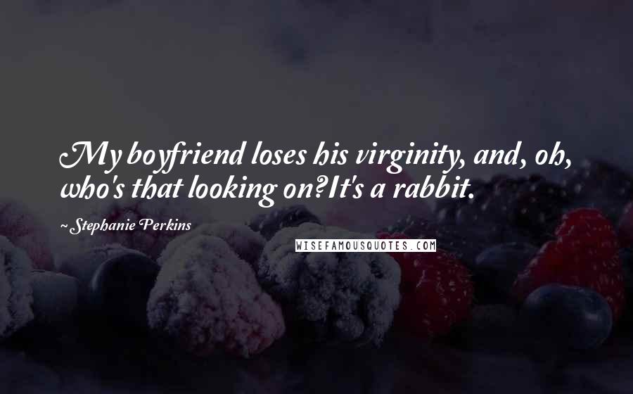 Stephanie Perkins Quotes: My boyfriend loses his virginity, and, oh, who's that looking on?It's a rabbit.