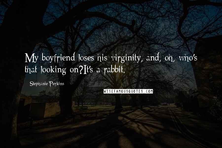 Stephanie Perkins Quotes: My boyfriend loses his virginity, and, oh, who's that looking on?It's a rabbit.