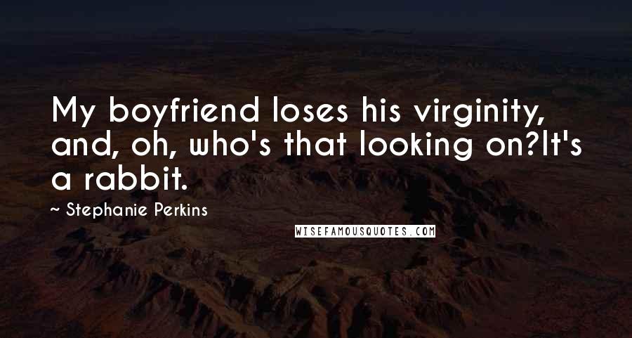 Stephanie Perkins Quotes: My boyfriend loses his virginity, and, oh, who's that looking on?It's a rabbit.