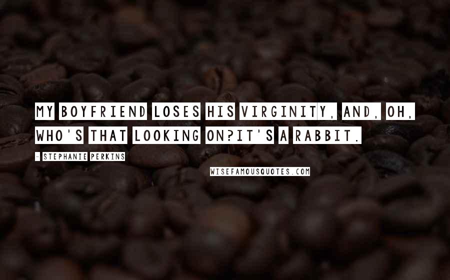 Stephanie Perkins Quotes: My boyfriend loses his virginity, and, oh, who's that looking on?It's a rabbit.