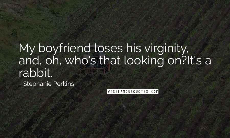 Stephanie Perkins Quotes: My boyfriend loses his virginity, and, oh, who's that looking on?It's a rabbit.