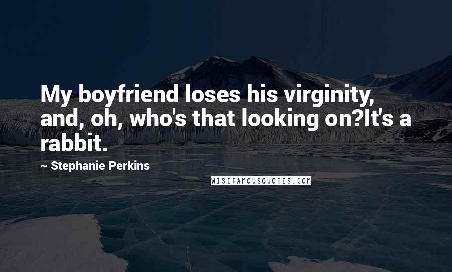 Stephanie Perkins Quotes: My boyfriend loses his virginity, and, oh, who's that looking on?It's a rabbit.