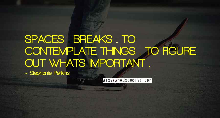 Stephanie Perkins Quotes: SPACES ... BREAKS ... TO CONTEMPLATE THINGS ... TO FIGURE OUT WHAT'S IMPORTANT ...
