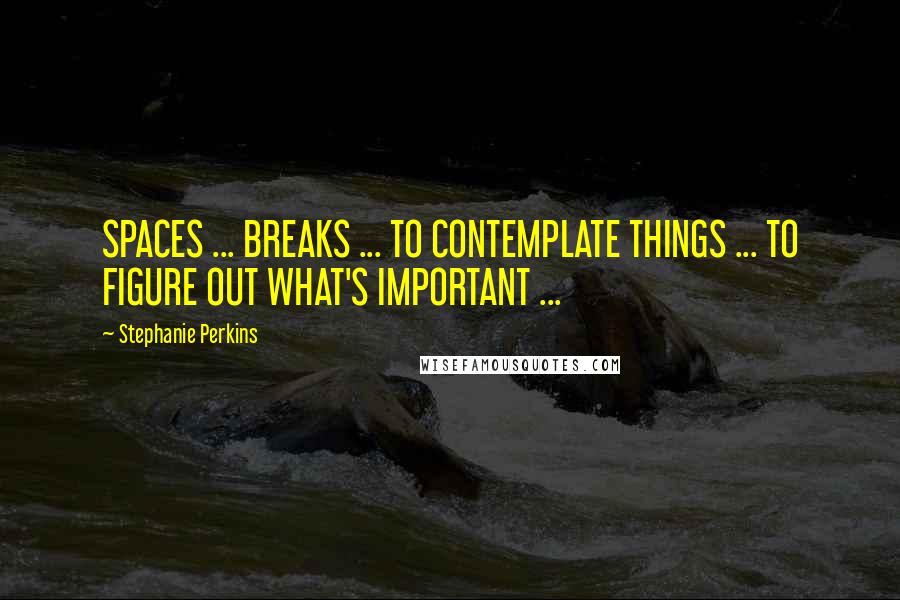 Stephanie Perkins Quotes: SPACES ... BREAKS ... TO CONTEMPLATE THINGS ... TO FIGURE OUT WHAT'S IMPORTANT ...