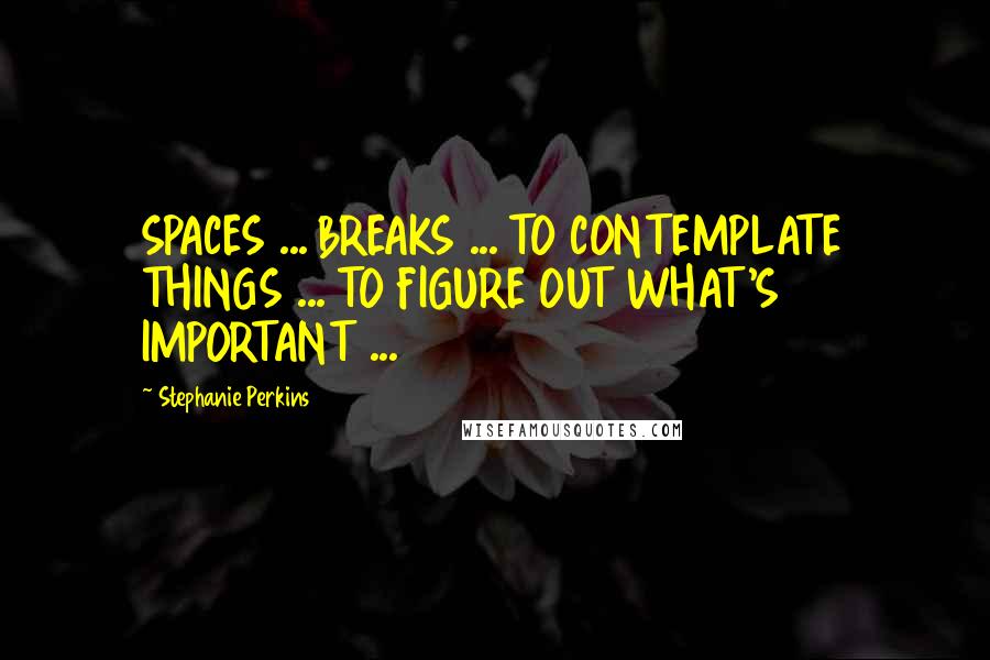 Stephanie Perkins Quotes: SPACES ... BREAKS ... TO CONTEMPLATE THINGS ... TO FIGURE OUT WHAT'S IMPORTANT ...