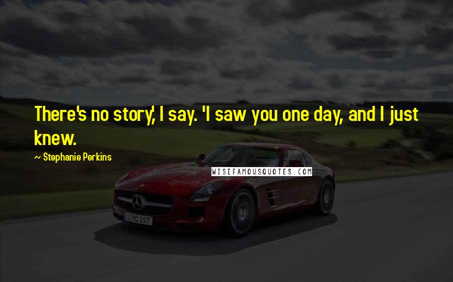 Stephanie Perkins Quotes: There's no story,' I say. 'I saw you one day, and I just knew.