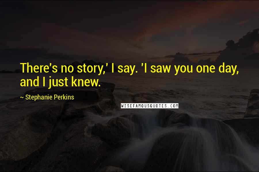 Stephanie Perkins Quotes: There's no story,' I say. 'I saw you one day, and I just knew.