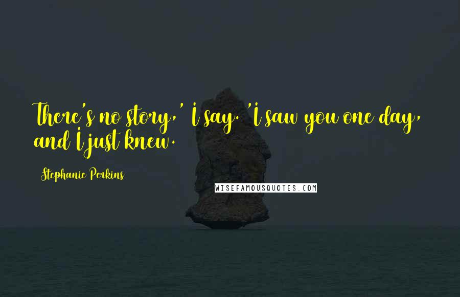 Stephanie Perkins Quotes: There's no story,' I say. 'I saw you one day, and I just knew.