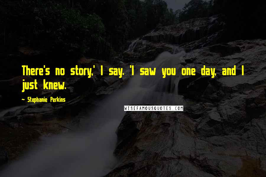 Stephanie Perkins Quotes: There's no story,' I say. 'I saw you one day, and I just knew.