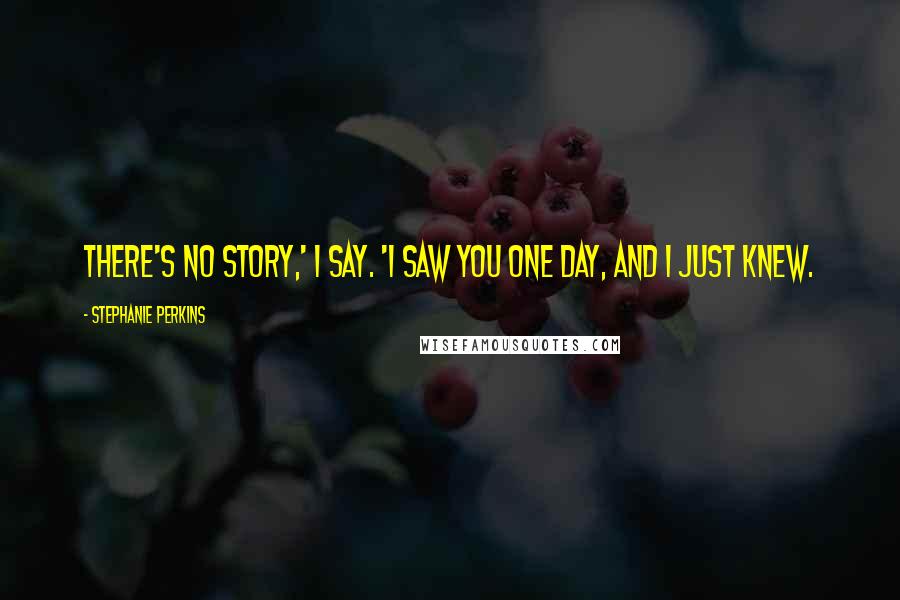 Stephanie Perkins Quotes: There's no story,' I say. 'I saw you one day, and I just knew.