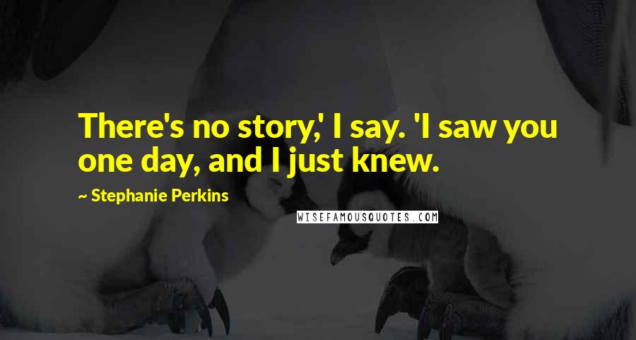Stephanie Perkins Quotes: There's no story,' I say. 'I saw you one day, and I just knew.