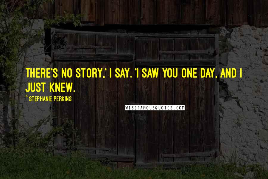 Stephanie Perkins Quotes: There's no story,' I say. 'I saw you one day, and I just knew.