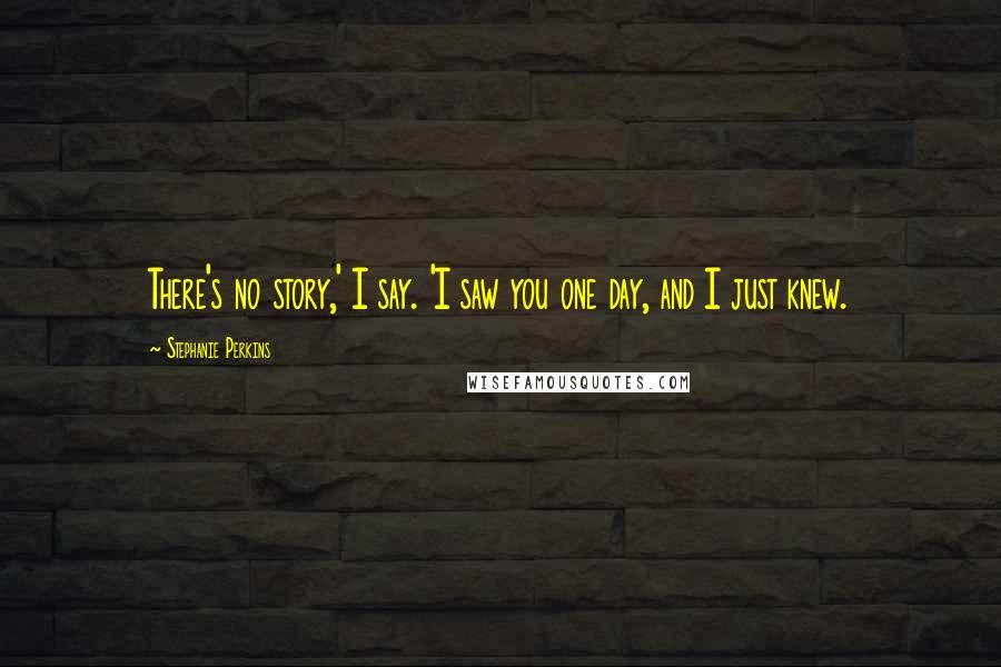 Stephanie Perkins Quotes: There's no story,' I say. 'I saw you one day, and I just knew.