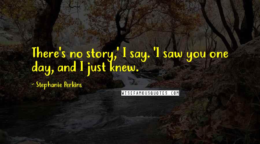 Stephanie Perkins Quotes: There's no story,' I say. 'I saw you one day, and I just knew.
