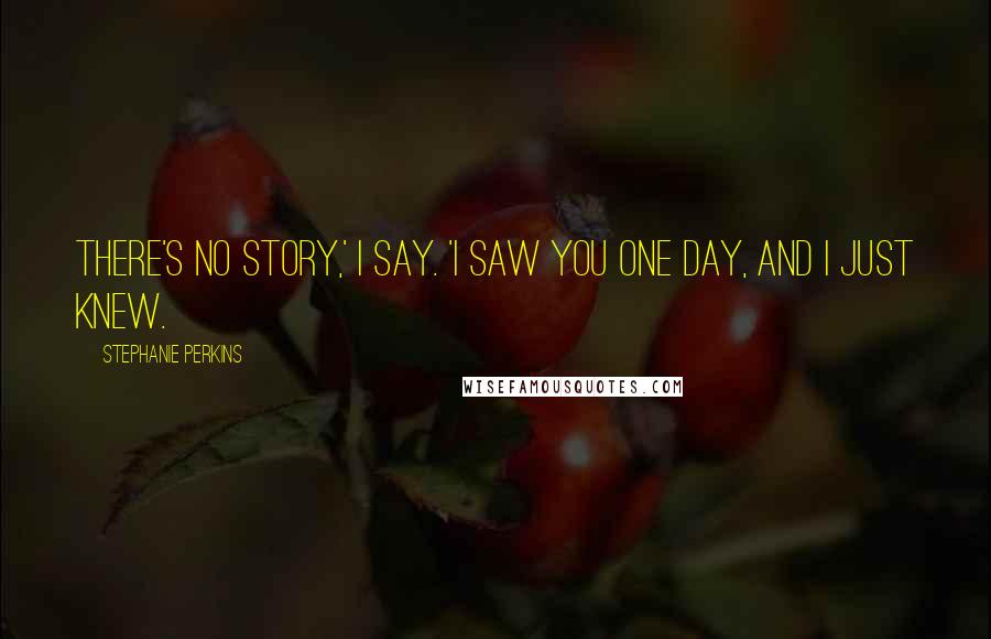Stephanie Perkins Quotes: There's no story,' I say. 'I saw you one day, and I just knew.