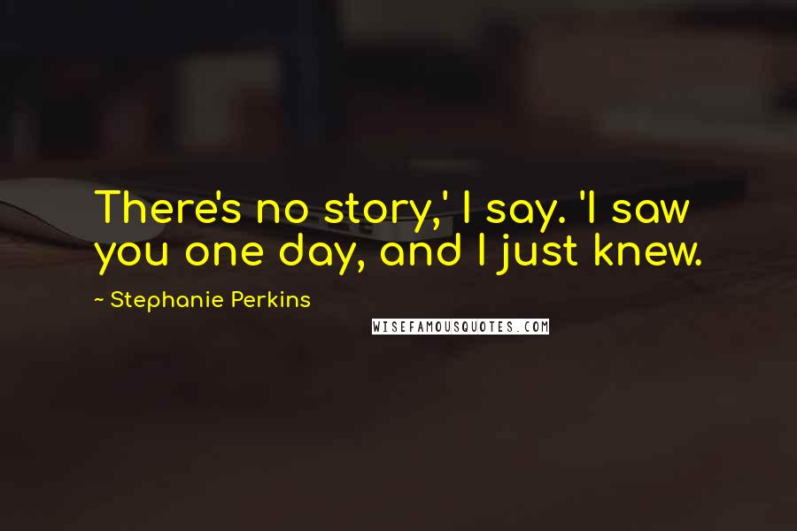 Stephanie Perkins Quotes: There's no story,' I say. 'I saw you one day, and I just knew.