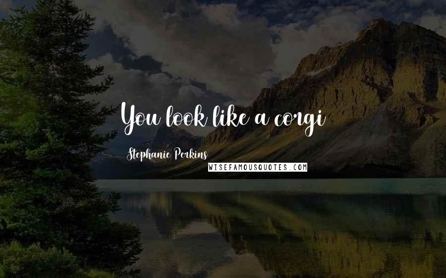 Stephanie Perkins Quotes: You look like a corgi