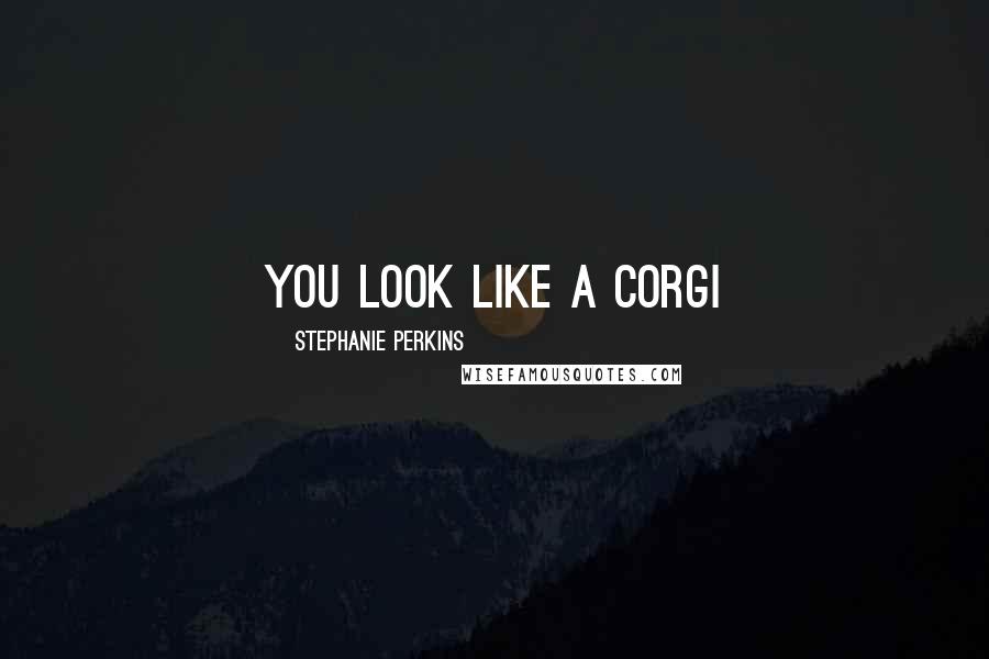 Stephanie Perkins Quotes: You look like a corgi