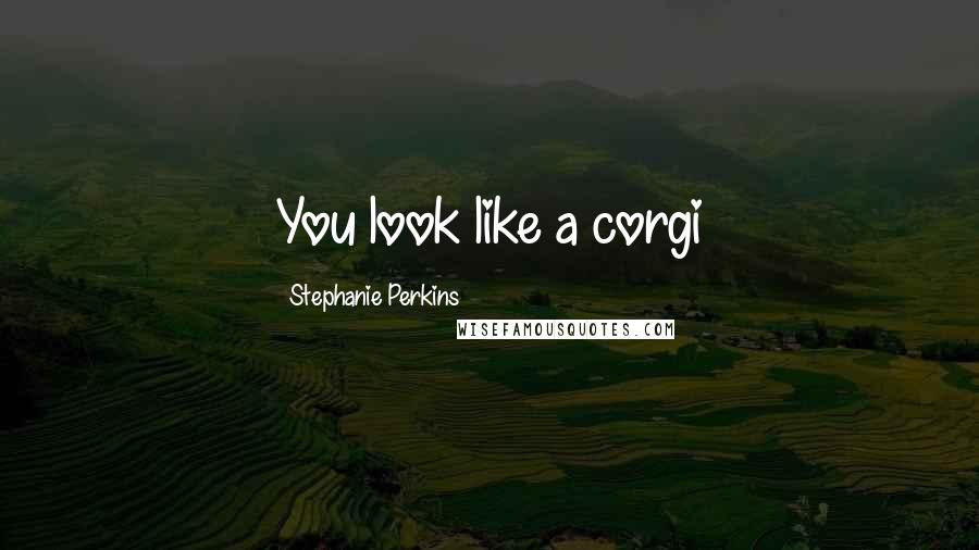 Stephanie Perkins Quotes: You look like a corgi