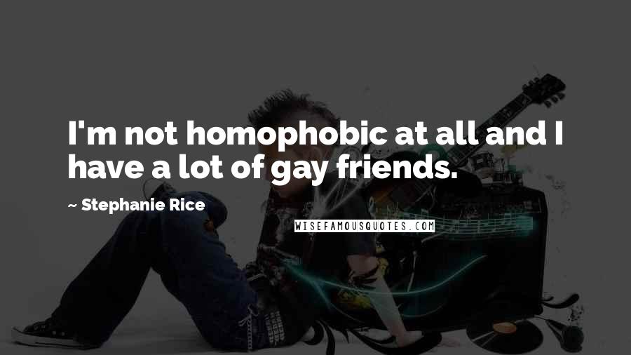 Stephanie Rice Quotes: I'm not homophobic at all and I have a lot of gay friends.
