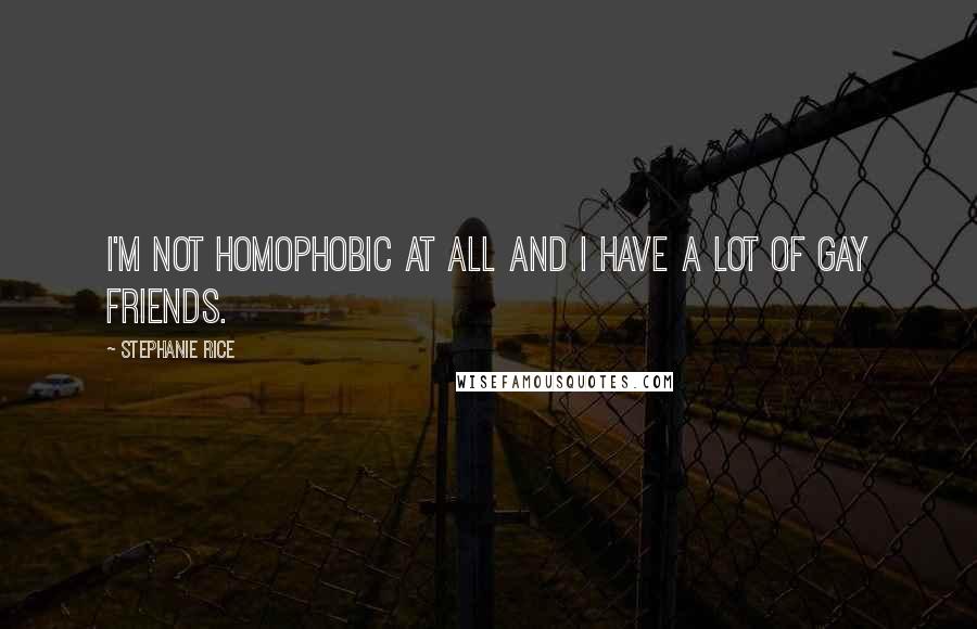 Stephanie Rice Quotes: I'm not homophobic at all and I have a lot of gay friends.
