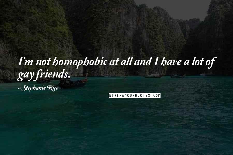 Stephanie Rice Quotes: I'm not homophobic at all and I have a lot of gay friends.