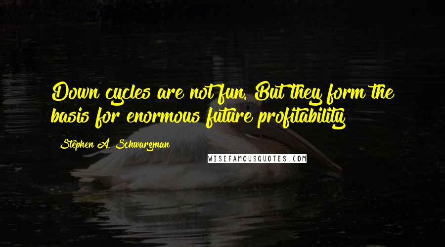 Stephen A. Schwarzman Quotes: Down cycles are not fun. But they form the basis for enormous future profitability