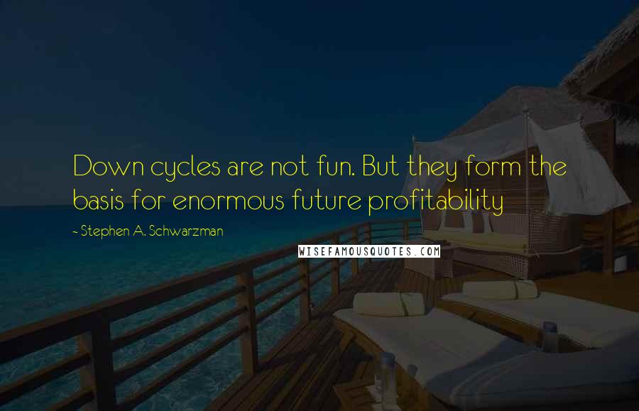 Stephen A. Schwarzman Quotes: Down cycles are not fun. But they form the basis for enormous future profitability