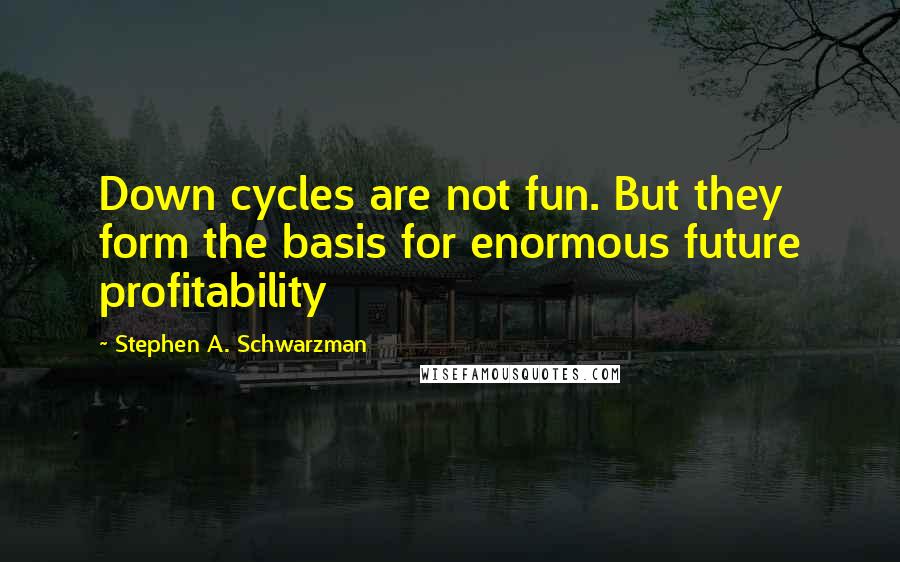 Stephen A. Schwarzman Quotes: Down cycles are not fun. But they form the basis for enormous future profitability