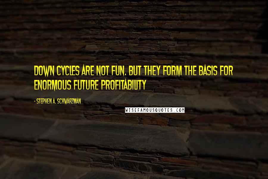 Stephen A. Schwarzman Quotes: Down cycles are not fun. But they form the basis for enormous future profitability