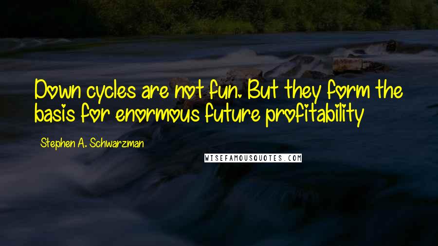 Stephen A. Schwarzman Quotes: Down cycles are not fun. But they form the basis for enormous future profitability