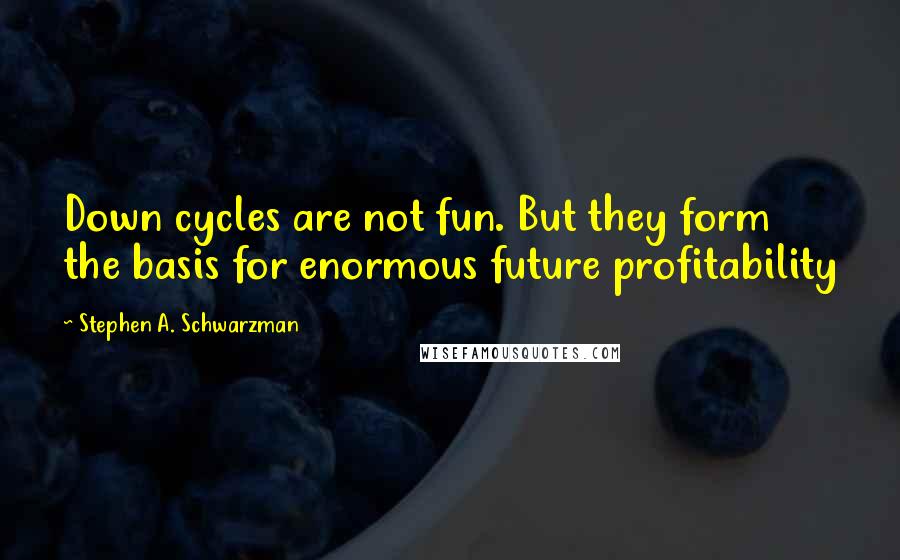 Stephen A. Schwarzman Quotes: Down cycles are not fun. But they form the basis for enormous future profitability