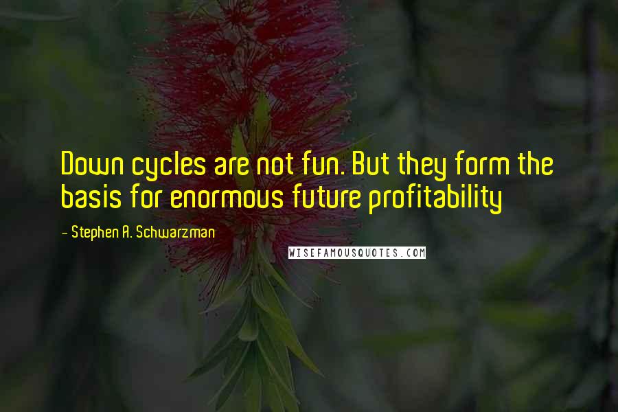 Stephen A. Schwarzman Quotes: Down cycles are not fun. But they form the basis for enormous future profitability