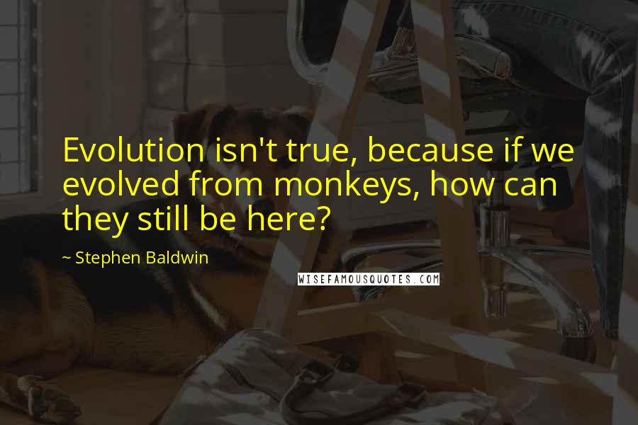 Stephen Baldwin Quotes: Evolution isn't true, because if we evolved from monkeys, how can they still be here?