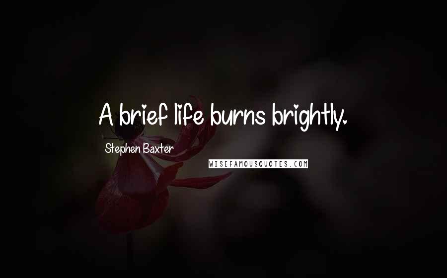 Stephen Baxter Quotes: A brief life burns brightly.